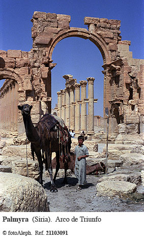 Siria